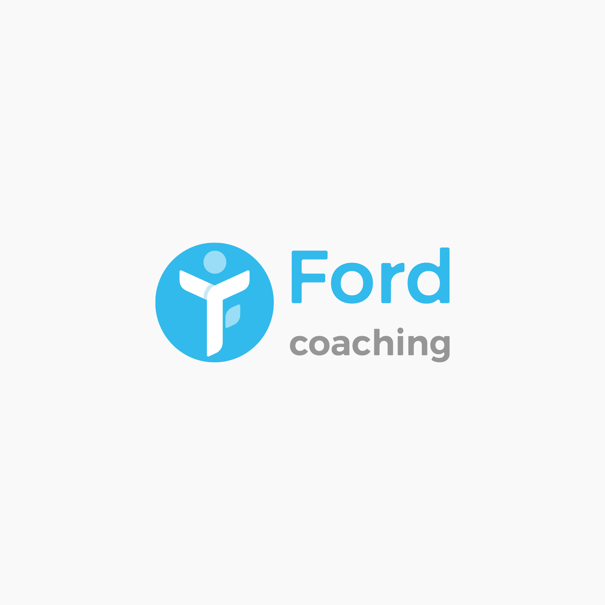 logo design, identyfikacja marki, branding, brand book, znak graficzny, logo firmy, ci, ford ppd, art designer - Ireneusz Bloch