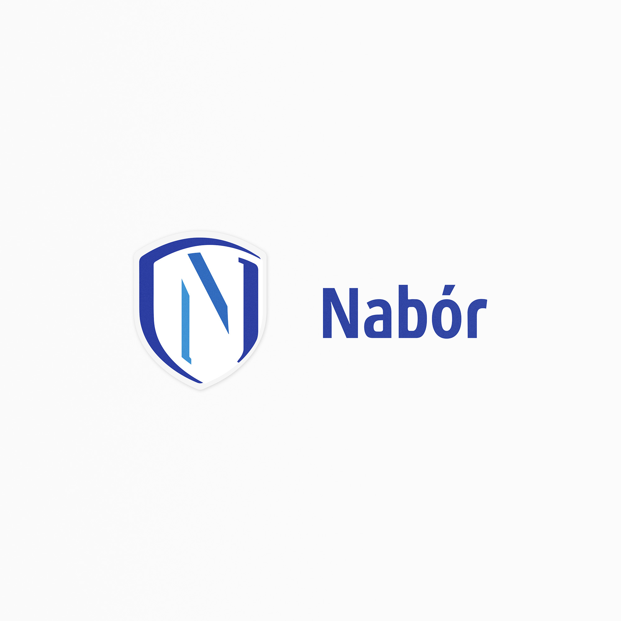 logo design, identyfikacja marki, branding, brand book, znak graficzny, logo firmy, ci, Nabór PCSS, art designer - Ireneusz Bloch