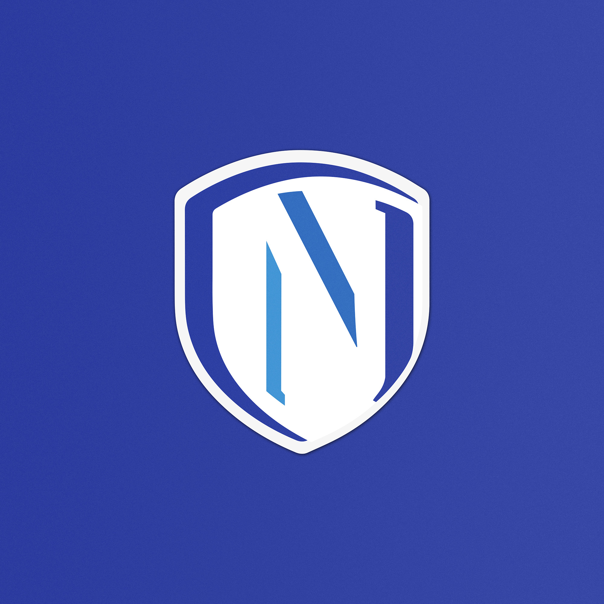 logo design, identyfikacja marki, branding, brand book, znak graficzny, logo firmy, ci, Nabór PCSS, art designer - Ireneusz Bloch